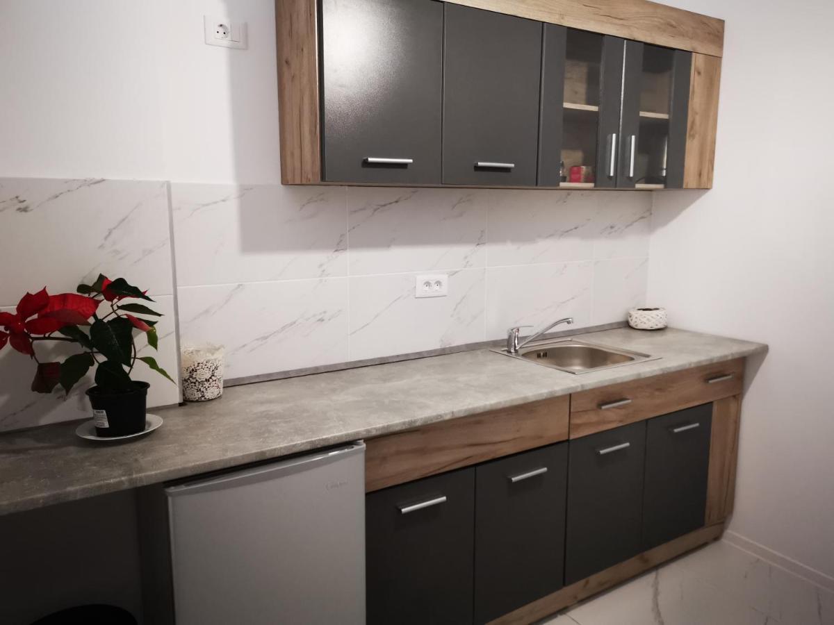 Iasi Jacuzzi Apartment A Eksteriør billede